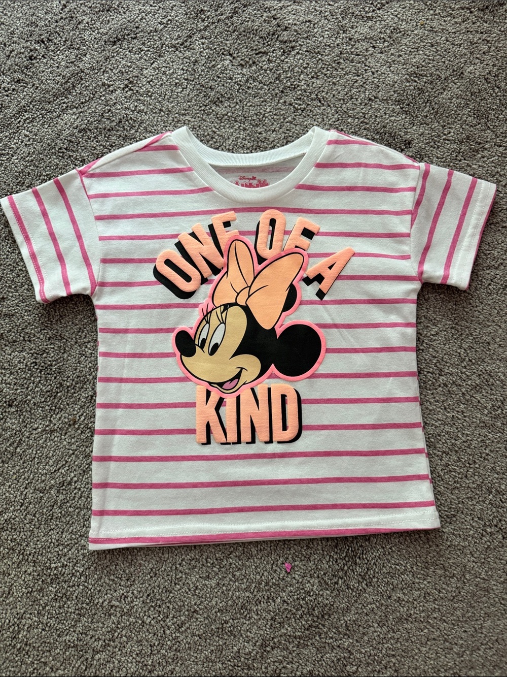 NEW 3T Minnie Mouse Shorts and matching shirt